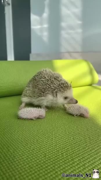 Подпишись 👉 https://vk.com/ykrasheniy_iz_kamny