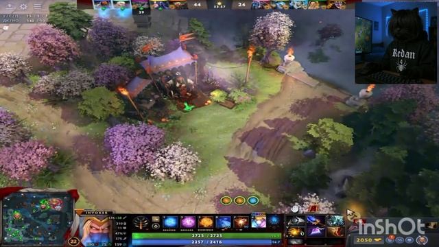 КОТ ИГРАЕТ В ДОТУ!
РЕДАН КОТ!