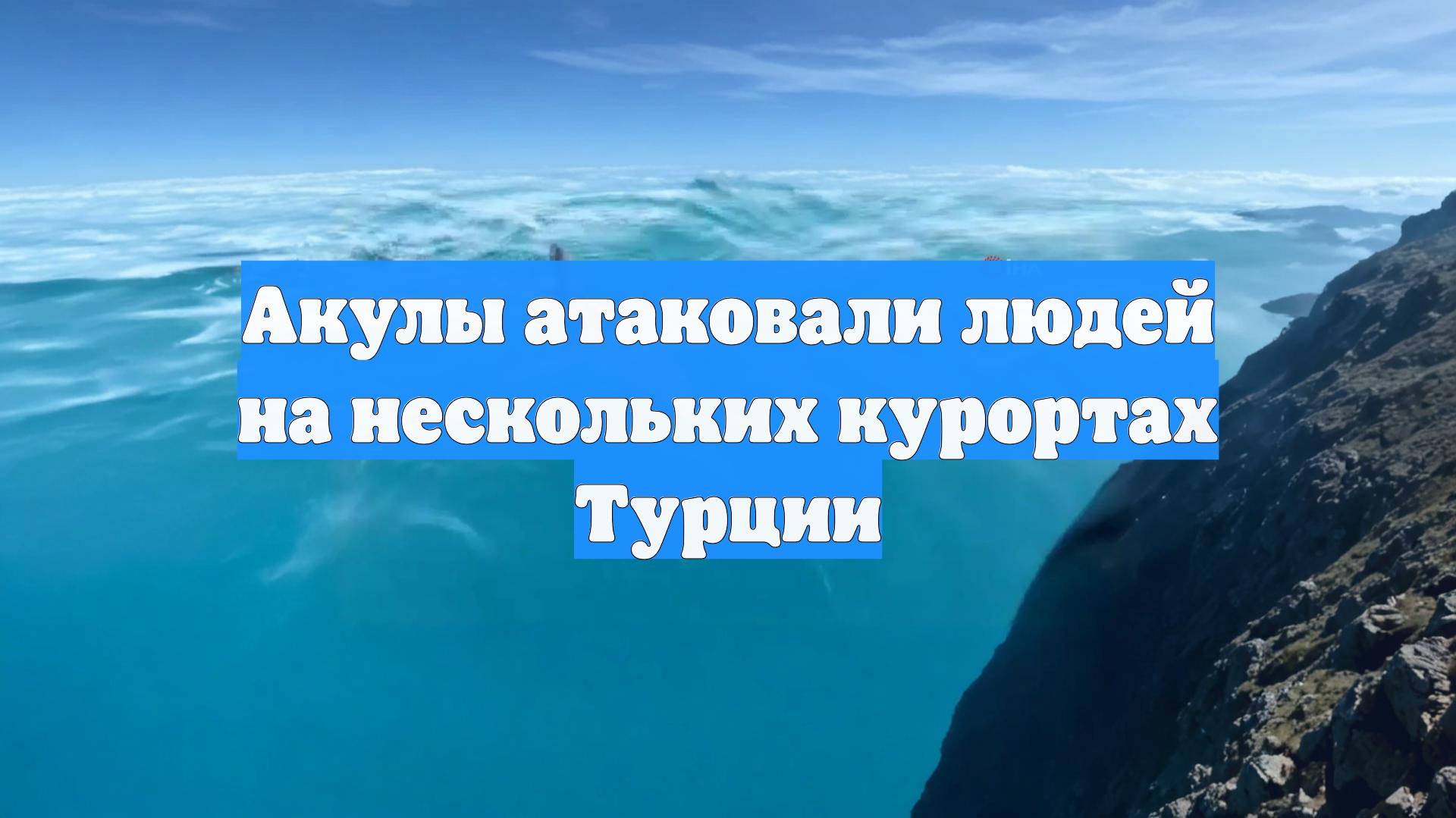 Акулы атаковали людей на нескольких курортах Турции