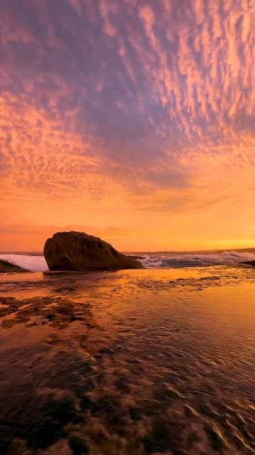 -4797807230113268994