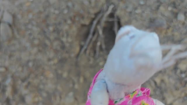 Домик в скале! Масштабная стройка Буши