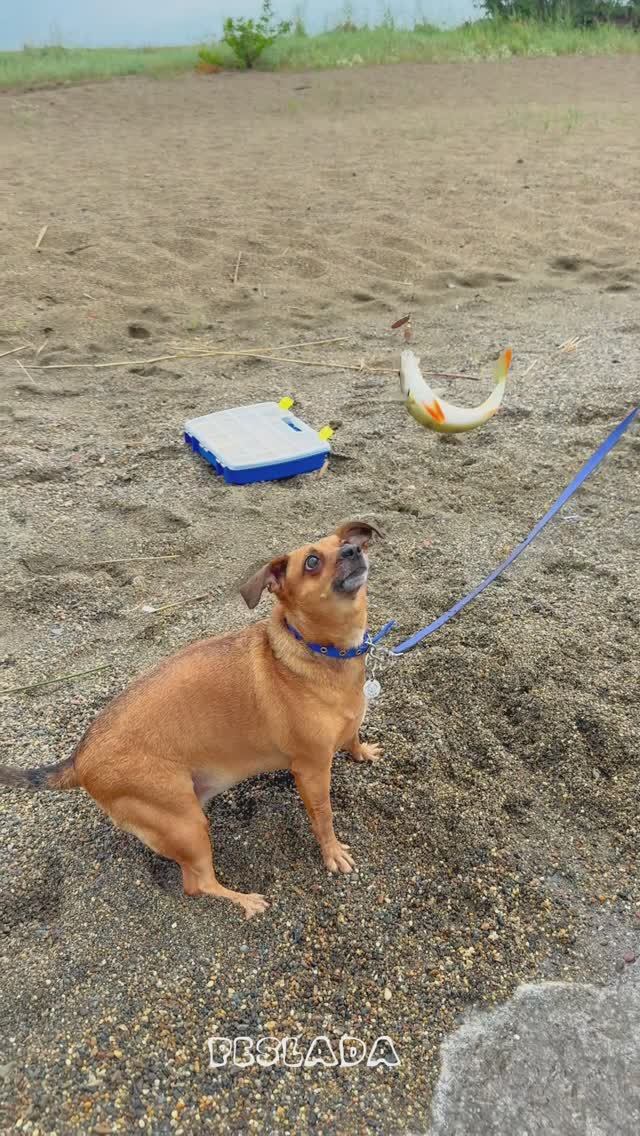 Главный РЫБАК