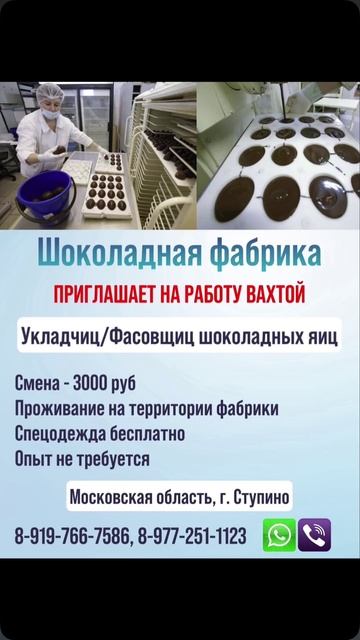 Открыт набор на фабрику в Московской области