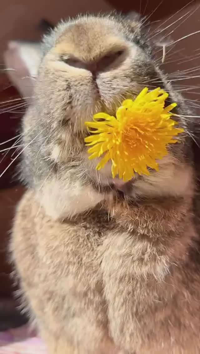 😅 Ням ням 😅