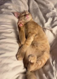 Подпишись 👉 https://vk.com/ykrasheniy_iz_kamny