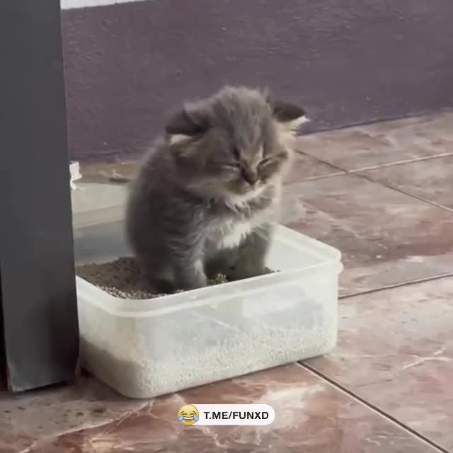 Доброе утро!😅