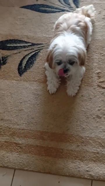 Здравствуйте,Гарик!