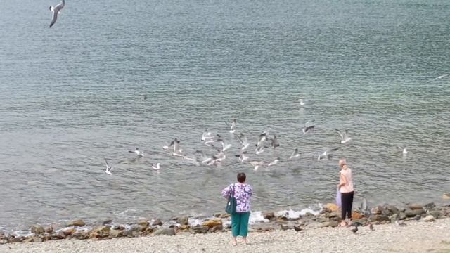 Пляж Рица, Находка