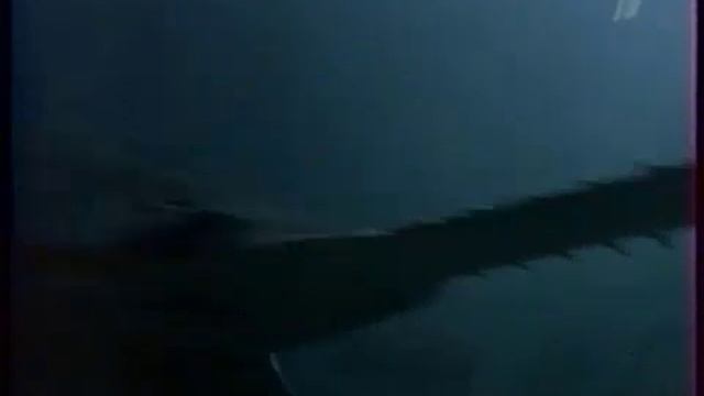 Рыба-пила - это профессия