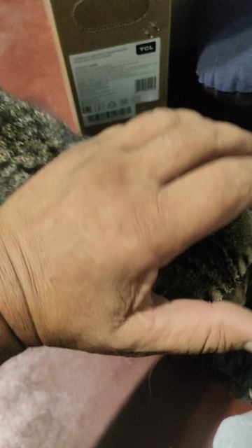 Ура!!! Ганс пришёл!!!