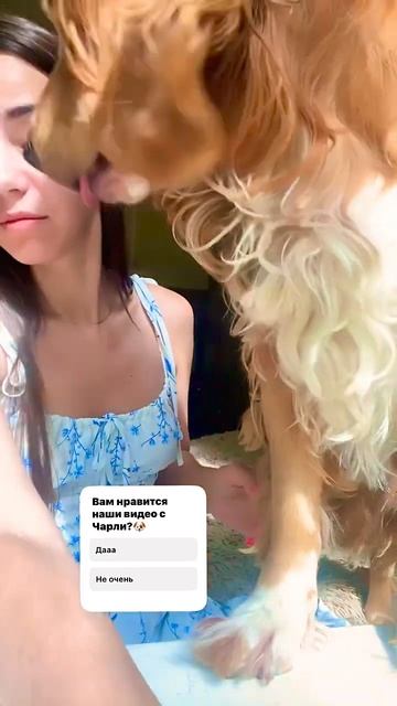 Без него никакshortsживотныелюбовьлето