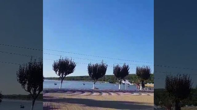 1000023463.mp4