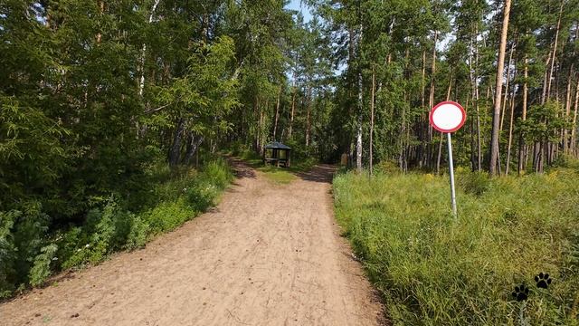 Ширяево - Тольятти. Кормим белок и наблюдаем за сусликами. Залезли в подводную лодку.
