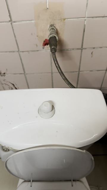 Послушный бачок унитаза