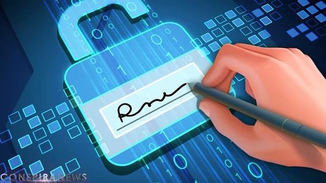 Правильный разбор MAX- новая платформа