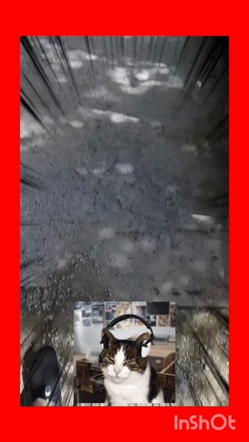 СеЛяВиБля