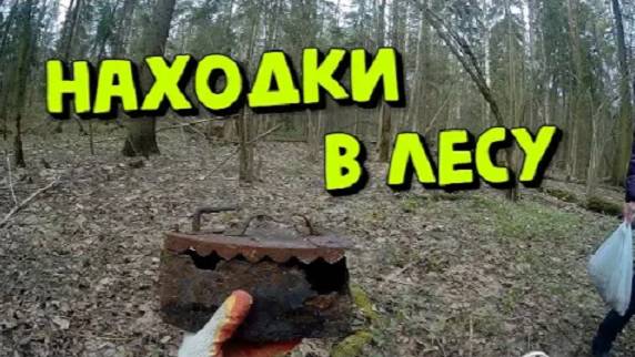 Серебро и другие находки в Лесу. КОП