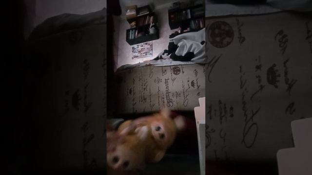 1 фокус и лайфхаки от 彡☆MUSASHI//13k☆