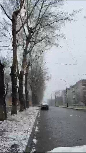 Снег , радость