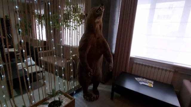 Зарубежные танки в парке ПАТРИОТ в Подмосковье (8)