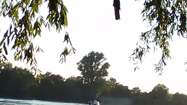 VID_20250718_190134.mp4