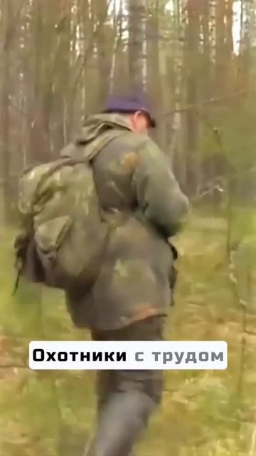 Командир напился перед взлётом, катастрофа АН 2