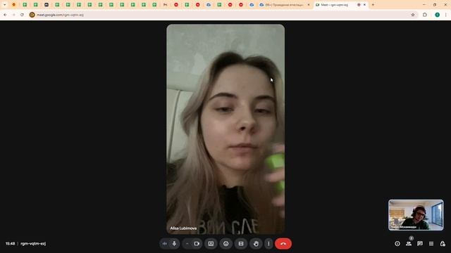 Алиса Любимова Папка Продавца