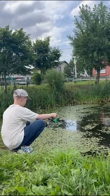 Поимка крупного карася на червя.