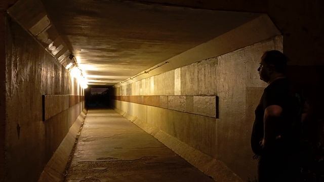 Ночной гость