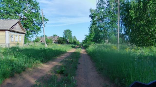 Напали собаки. Путешествие на мопеде .