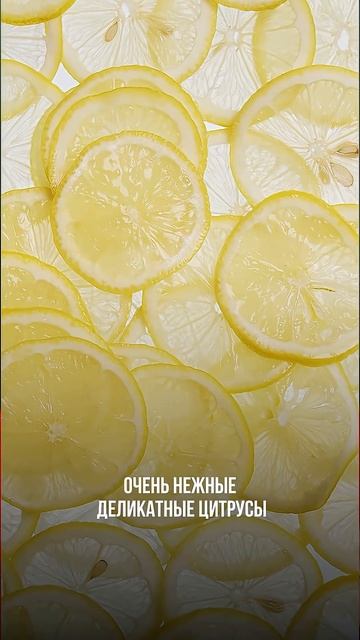 САМЫЙ ЖЕНСТВЕННЫЙ ПАРФЮМ