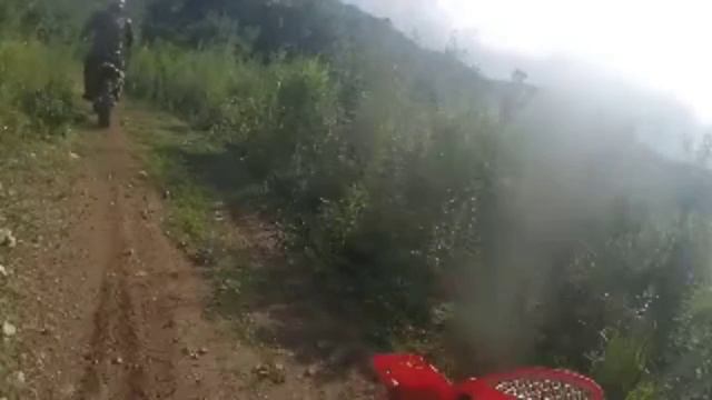 прокатимся