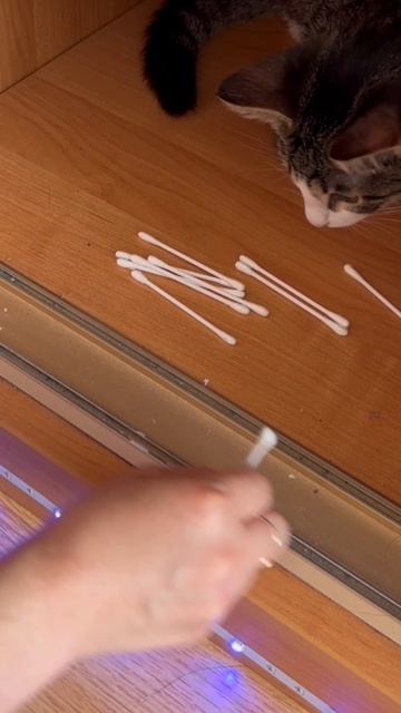 3 способа Артикул на пасту WB #234577722
Ozon #1664064287