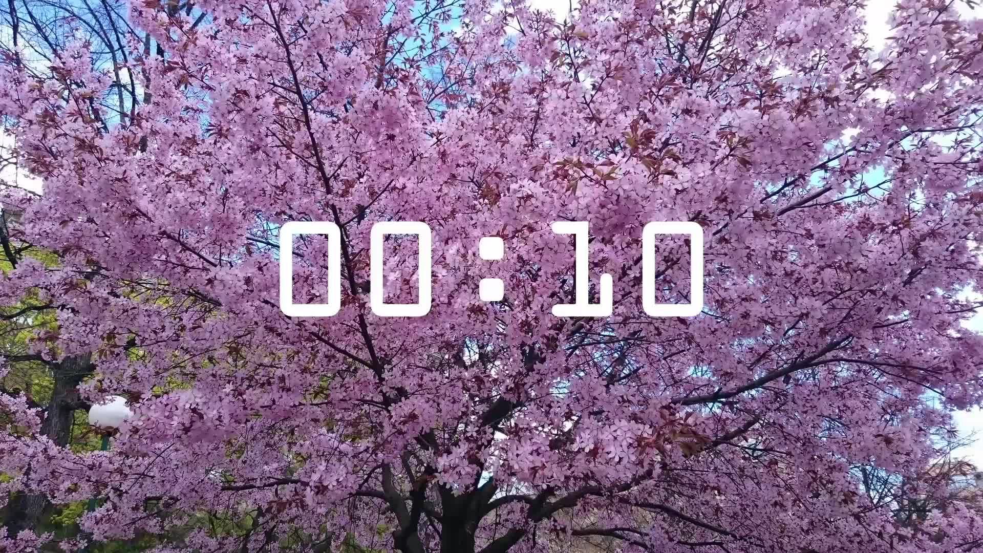 Богослужение 20.07.2025