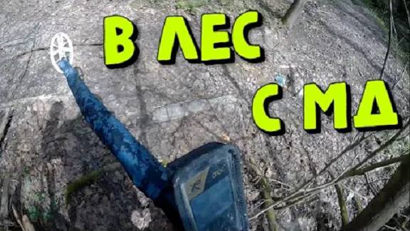 Коп в Лесу с Металлоискателем XP ORX