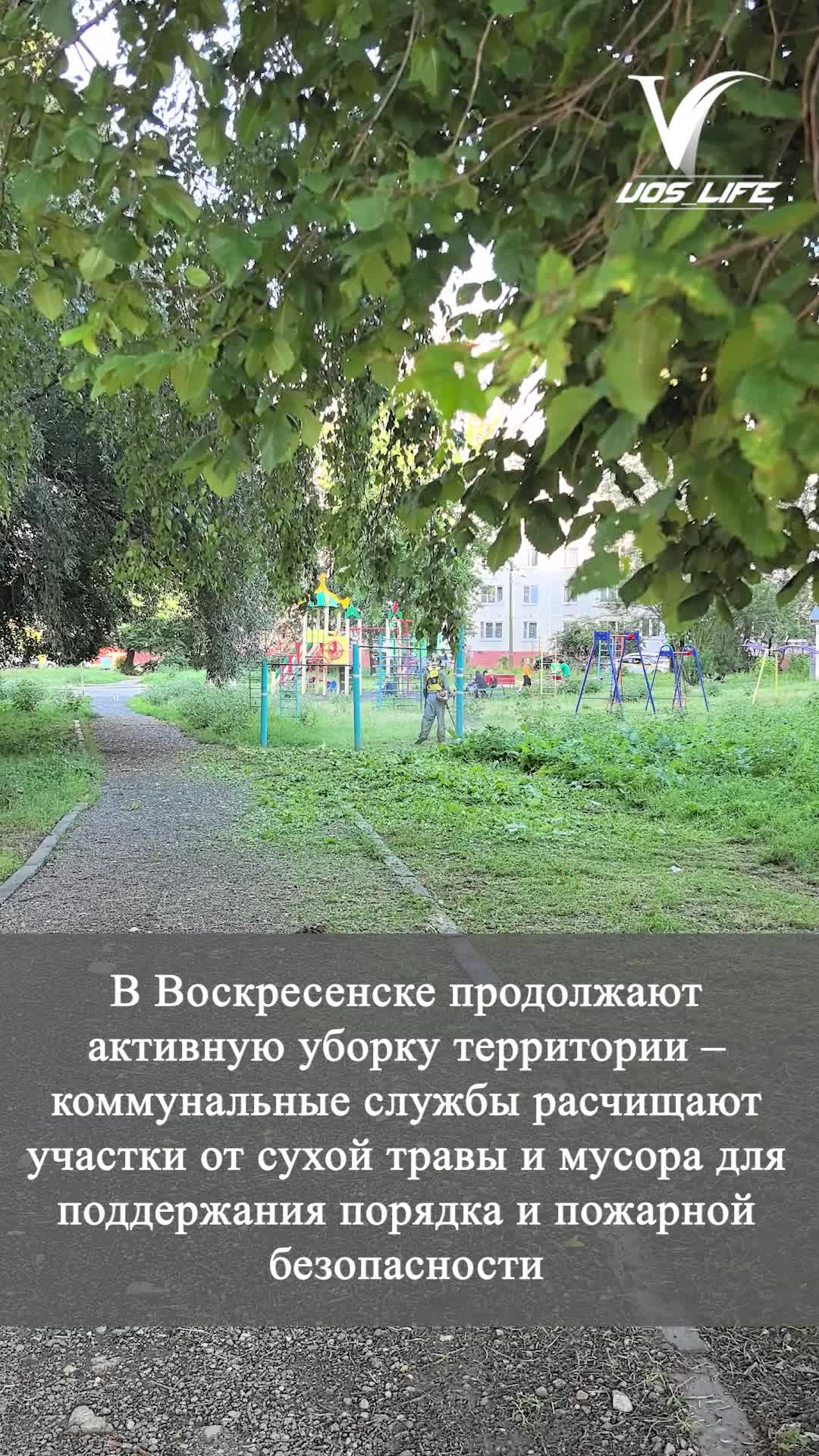 Покос травы в Воскресенске продлжается полных ходом.
