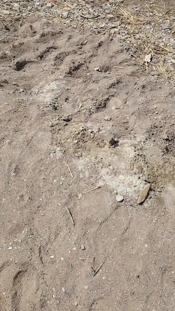 Отдых в палатках #Хакасия#озероИткуль#Семья