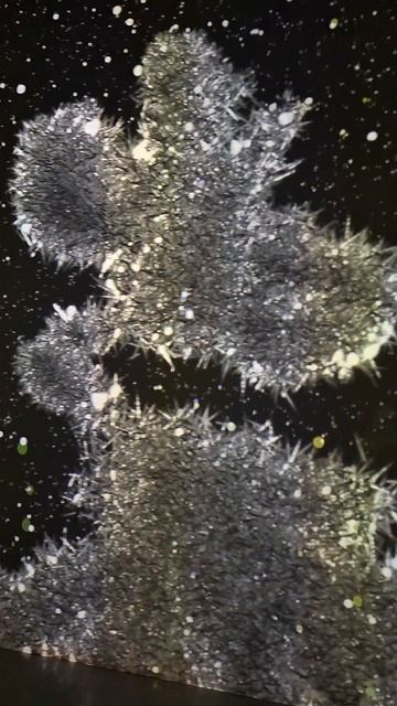 Иммерсивное арт-пространство Luminar-X в Москве