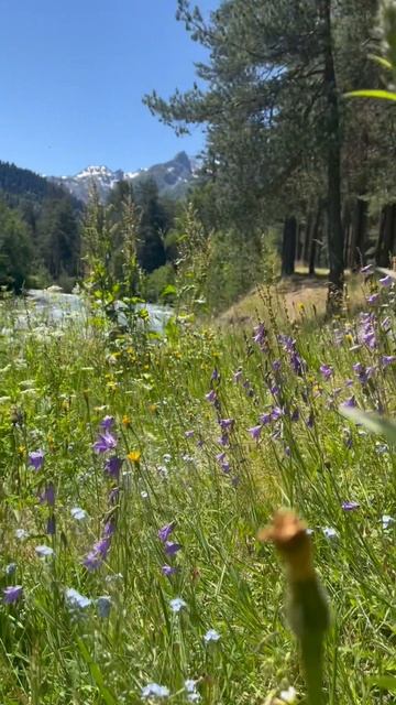 Заряжаюсь энергией