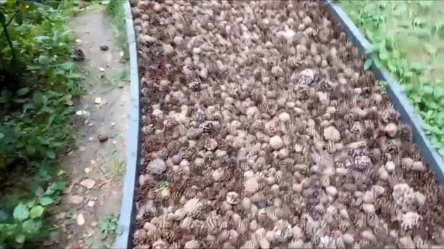 Босоногая тропа Лосиный остров