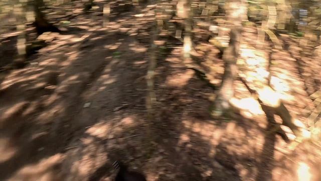 19.07.25 Катнули трассу Шапки. Трасса огонь!