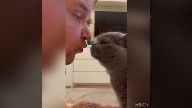 Безумная любовь