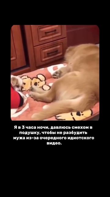 Когда хотела лечь пораньше.