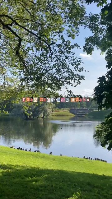 51705e57d85d421eb98a7874b1c53aeb