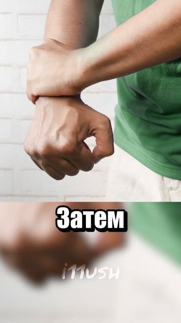 утконосы #рекомендации #утконос #i11ush #ютуб #тренд