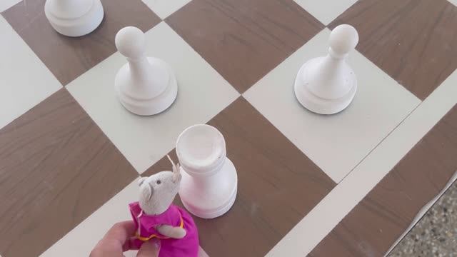 Буша попала на огромное шахматное поле с фигурами