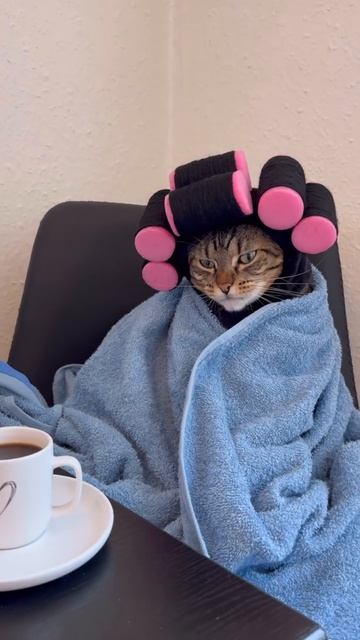 Это я собираюсь на работу