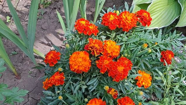 Красота да и только. На работе