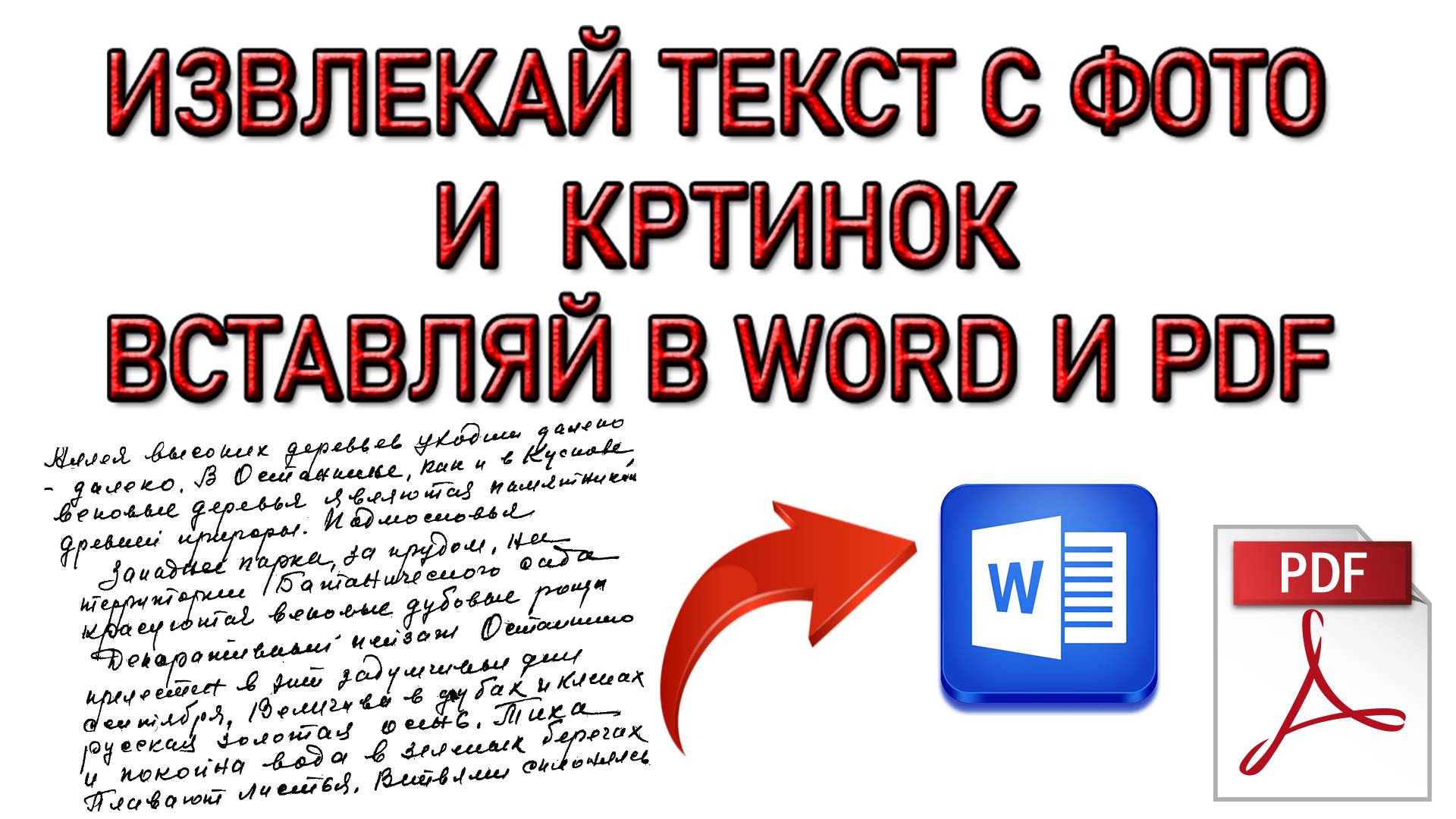 Картинка в Текст Онлайн. Из картинки в текст. Как извлечь текст с фото