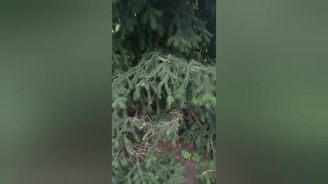 С кем шутки плохи,с тем и остальное так себе :))